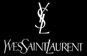 standard express ysl shipping|ysl beauty customer service.